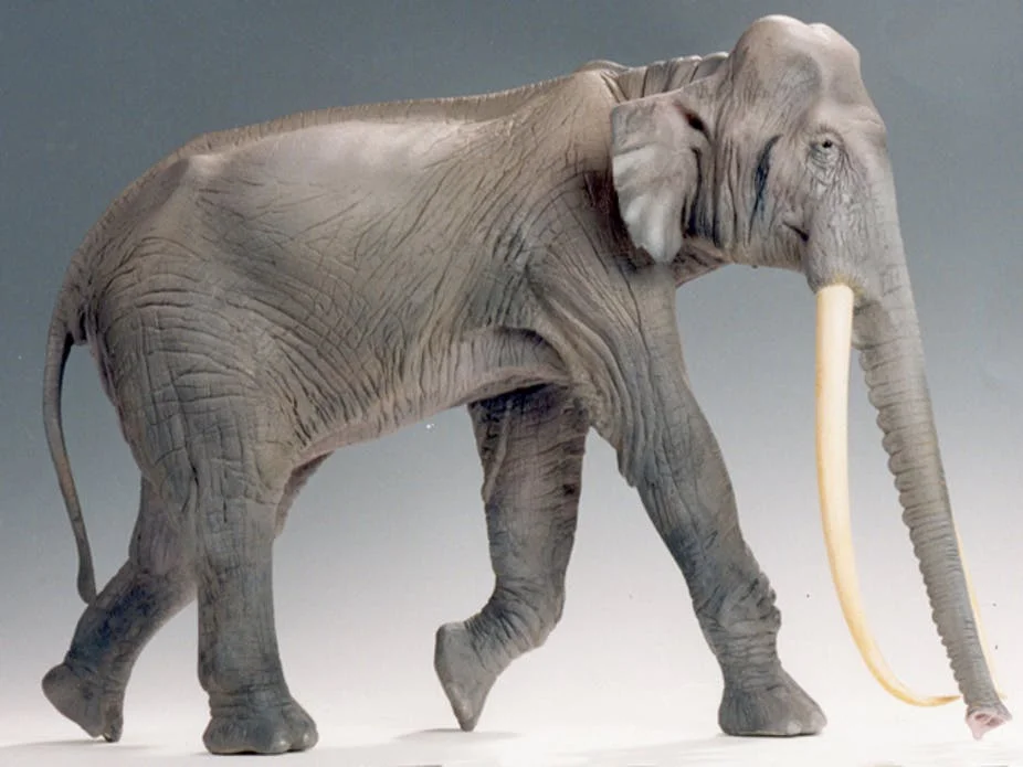 Palaeoloxodon antiquus has been extinct for 120 000 years. By Apotea (Own work) [CC BY-SA 3.0