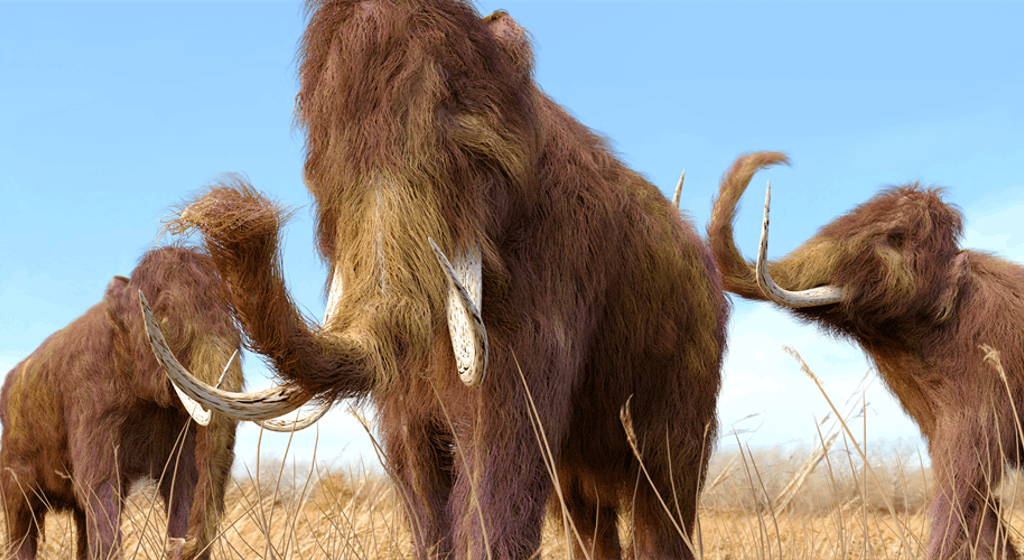 WoolyMammothHeader-12018.png