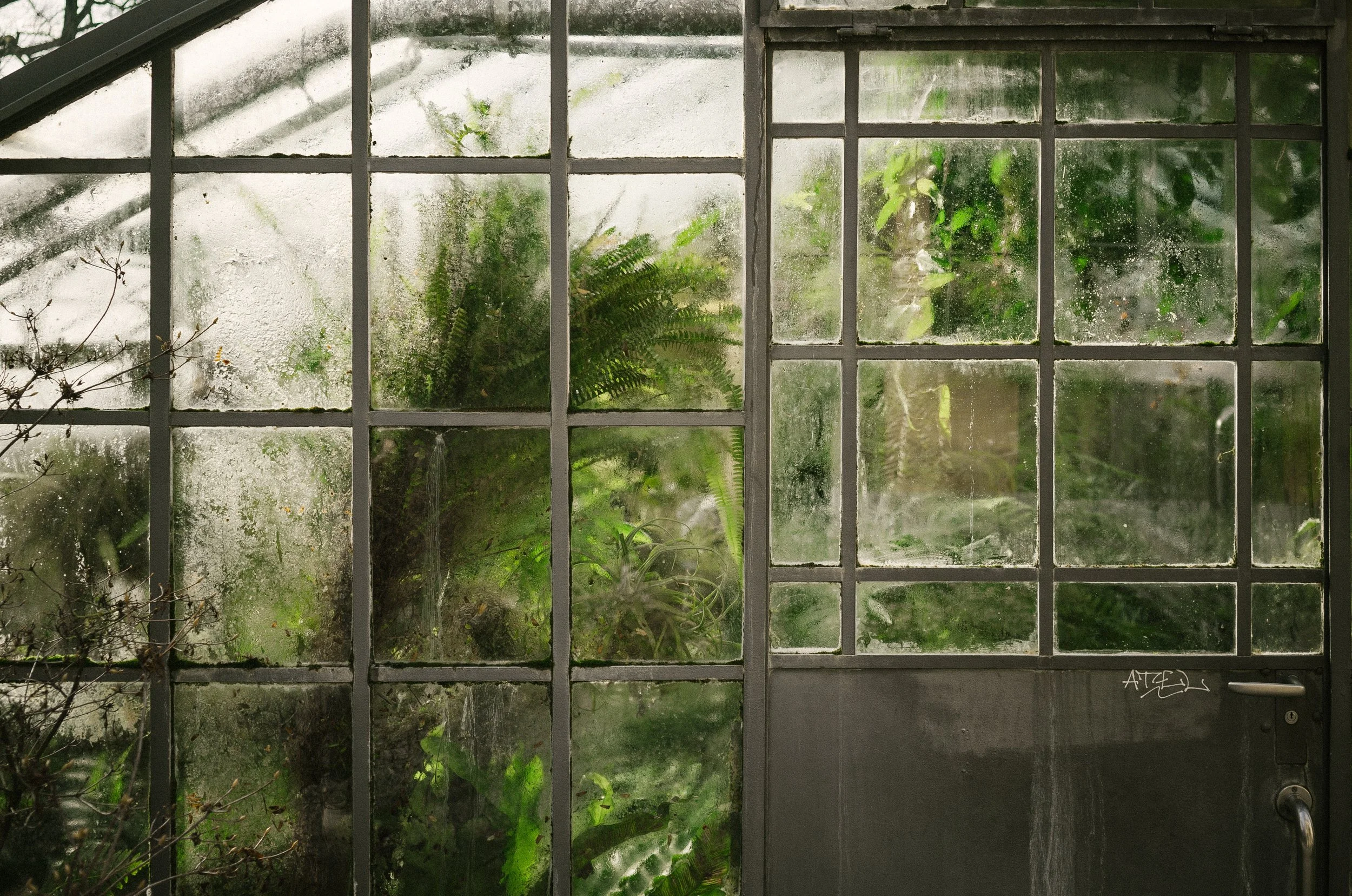 Photo by Johannes Hofmann on Unsplash