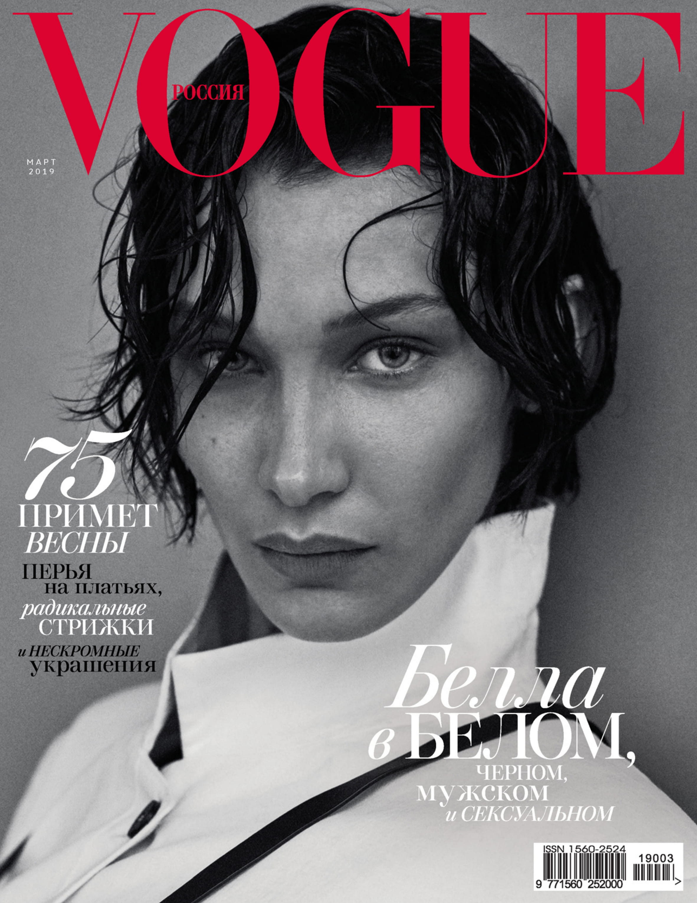 Bella Hadid by Giampaolo Sgura for Vogue Russia March 2019 (17).jpg