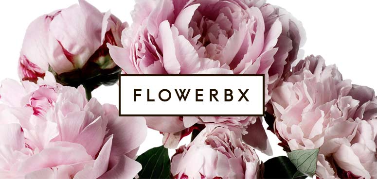 Flowerbx-1.jpg