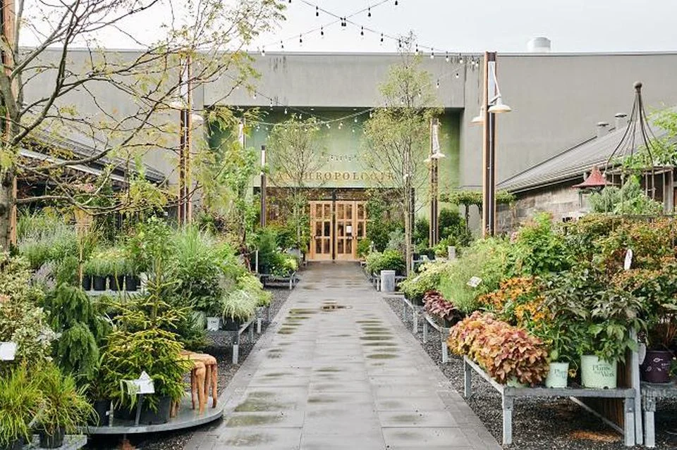 Anthropologie Devon YardANTHROPOLOGIE