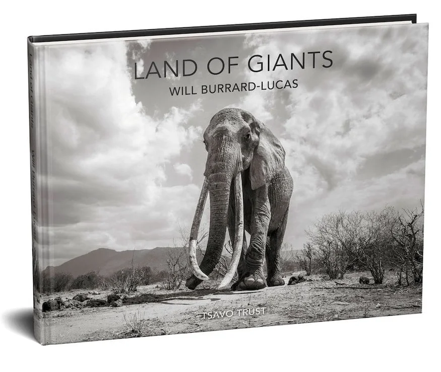 will-burrard-lucas-elephant-queen-land-of-giants-book- (10).jpg