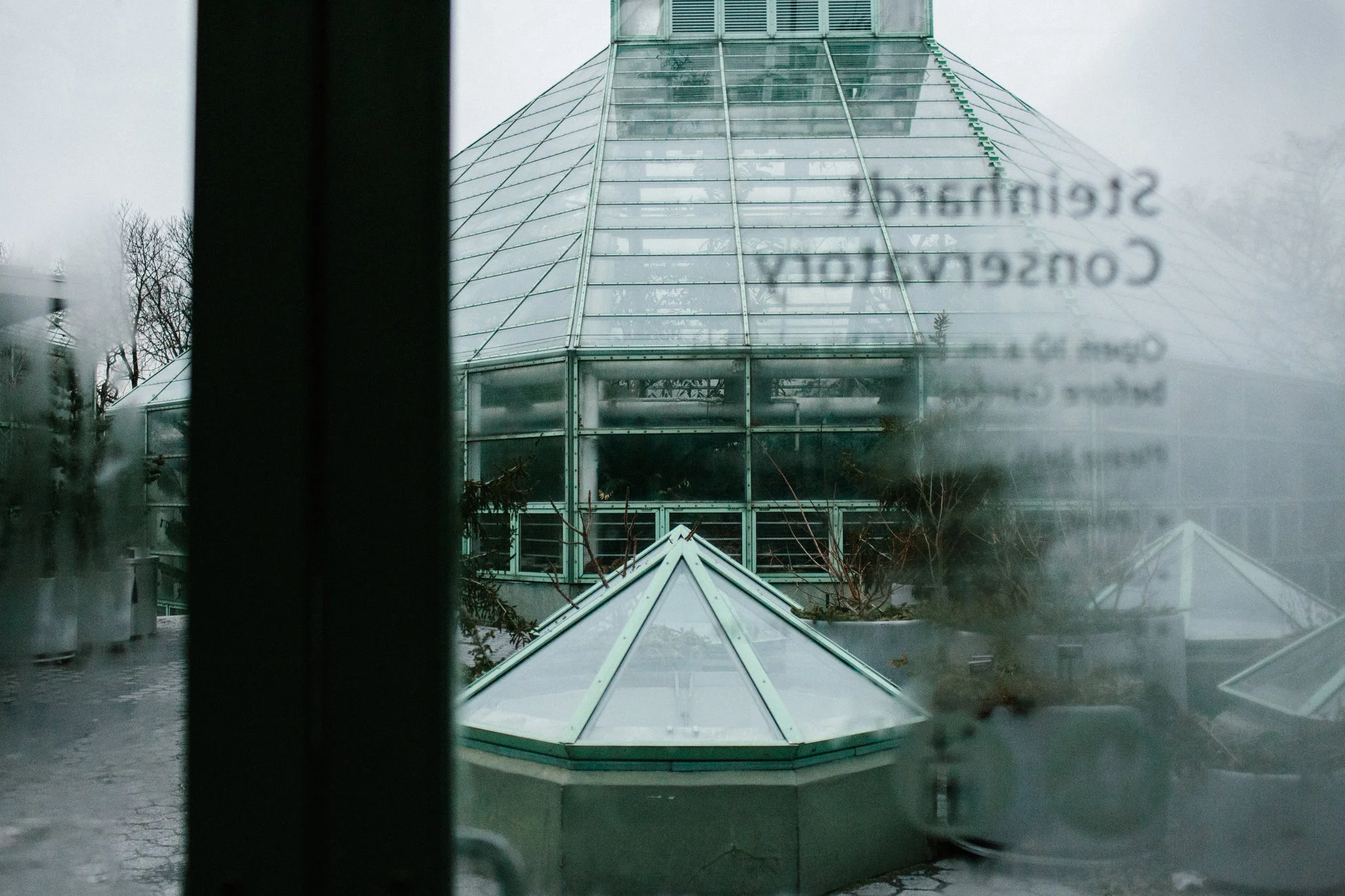 Steinhardt has been a major benefactor to New York City institutions, including the largest graduate school at New York University. (Gabriela Bhaskar for The New York Times)