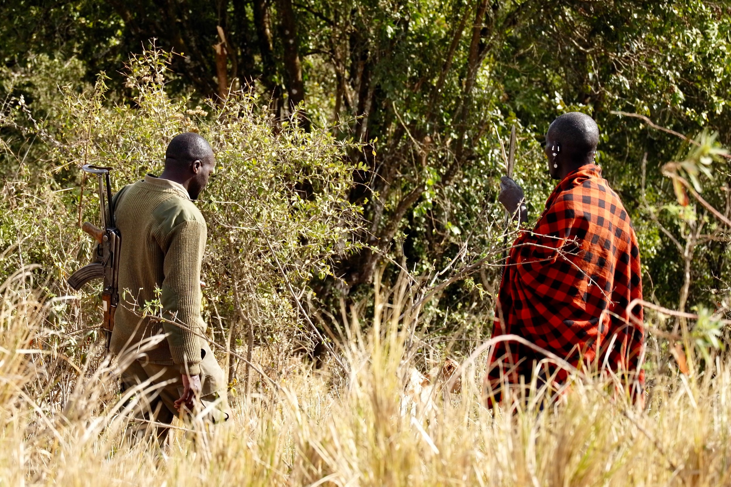Image result for Lupita Nyong'o Narrates Discovery Channel's upcoming series Serengeti