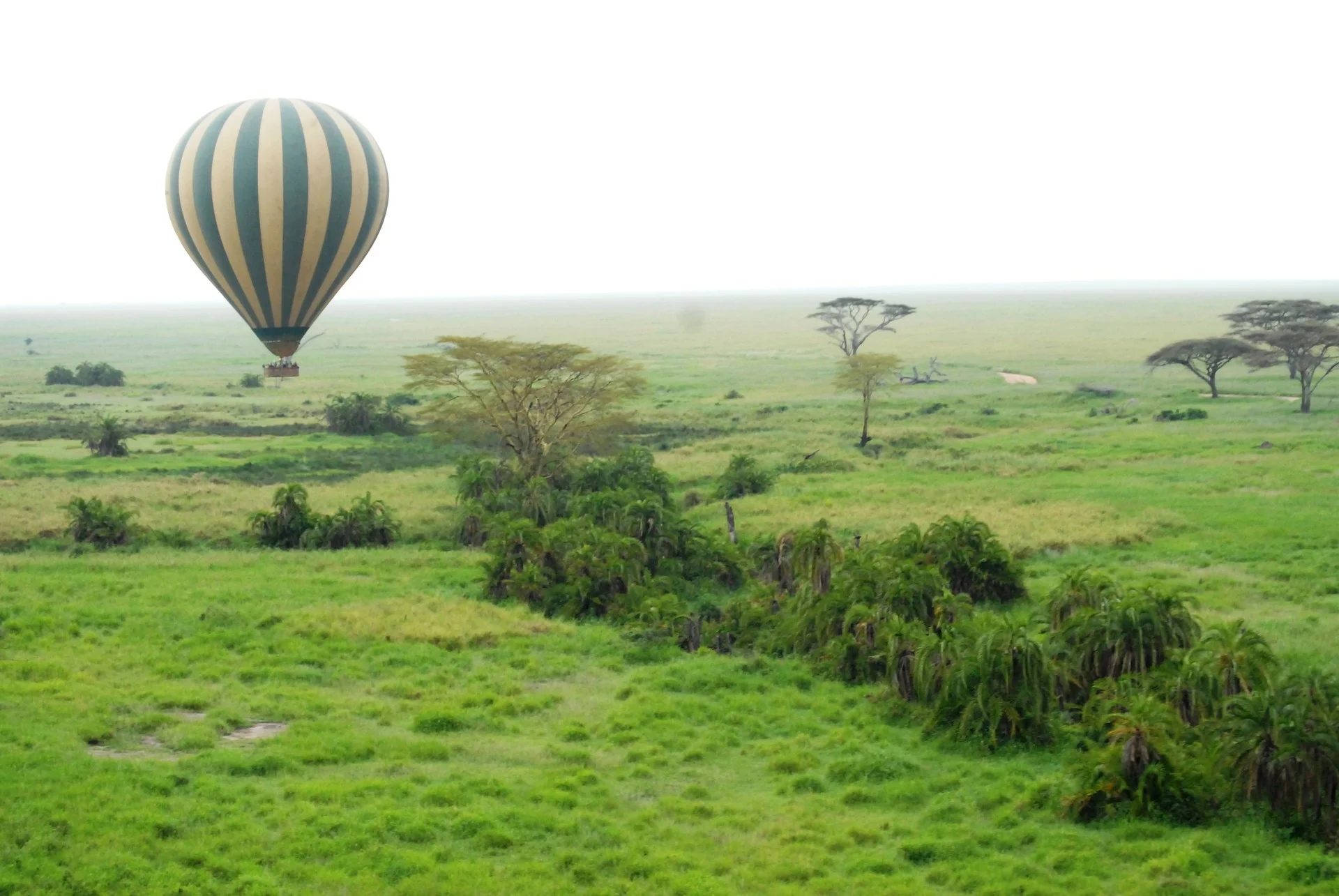 Ballooning in the Serengeti. Image via