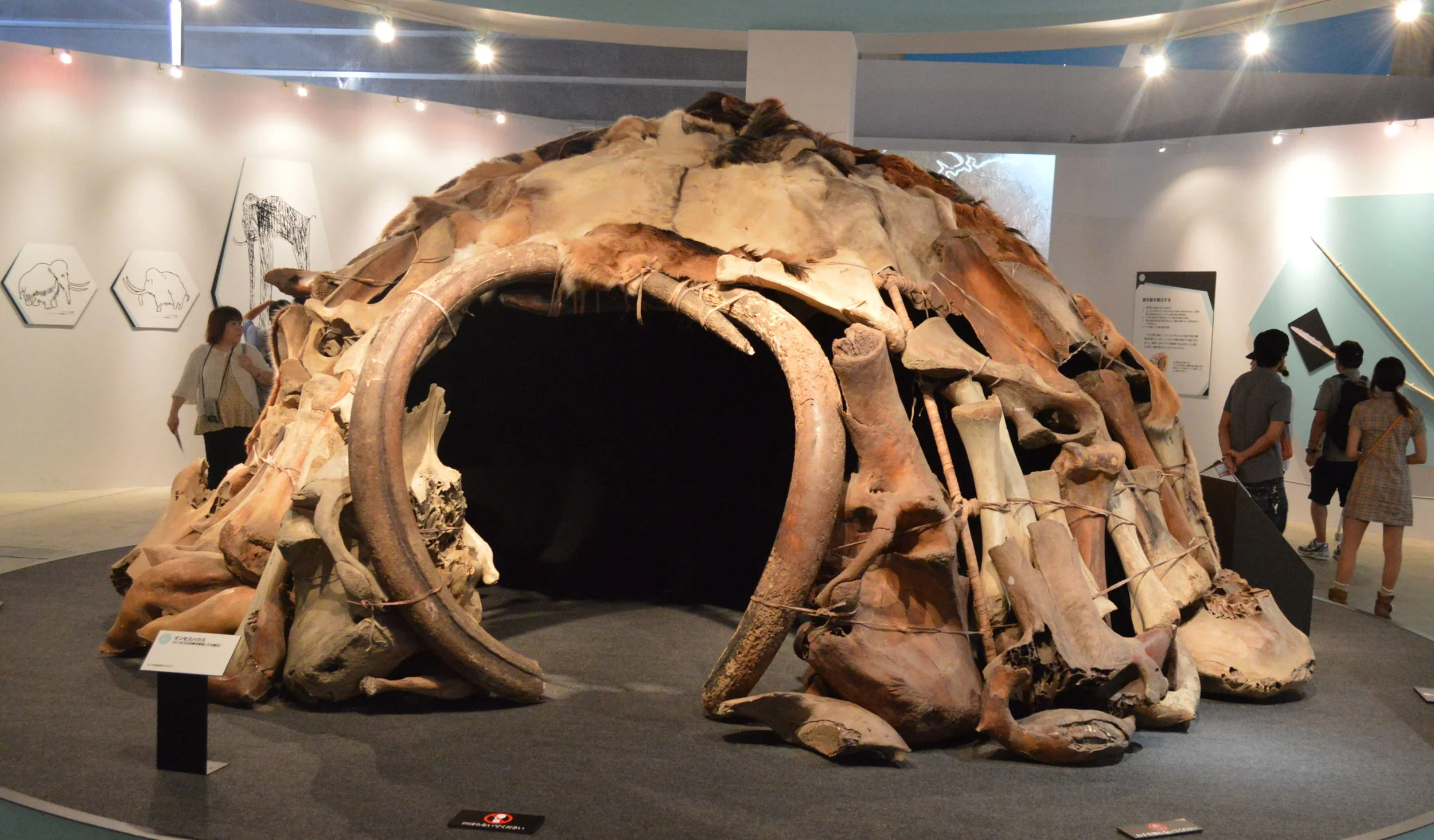 Replica of a mammoth-bone structure, shown at the "Frozon Woolly Mammoth Yuka Exhibit" in Yokoyama, Japan in Summer 2013.