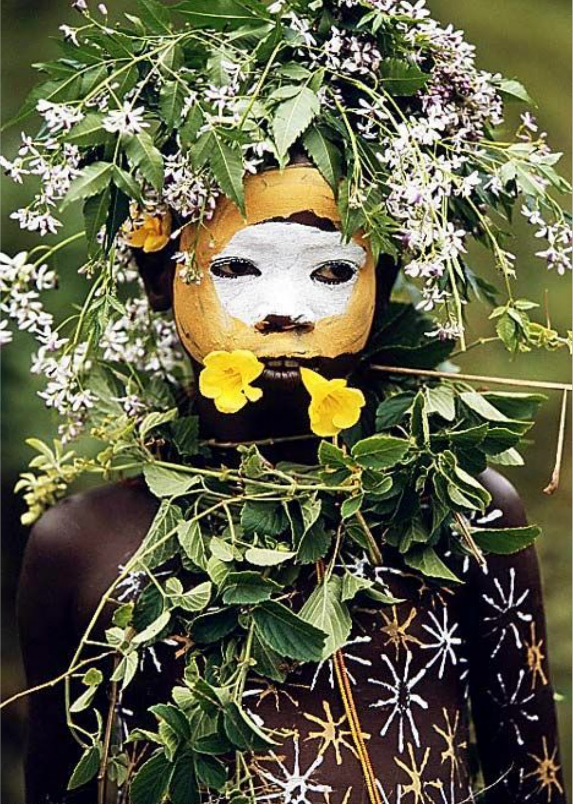 Natural Fashion by Hans W. Silvester Natural Fashion by Hans W. Silvester