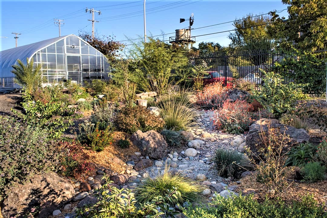 Berkeley’s new urban agriculture ordinance encourages residents to grow their own food . Urban Adamah in Berkeley is an educational farm and community center. Photo: Urban Adamah