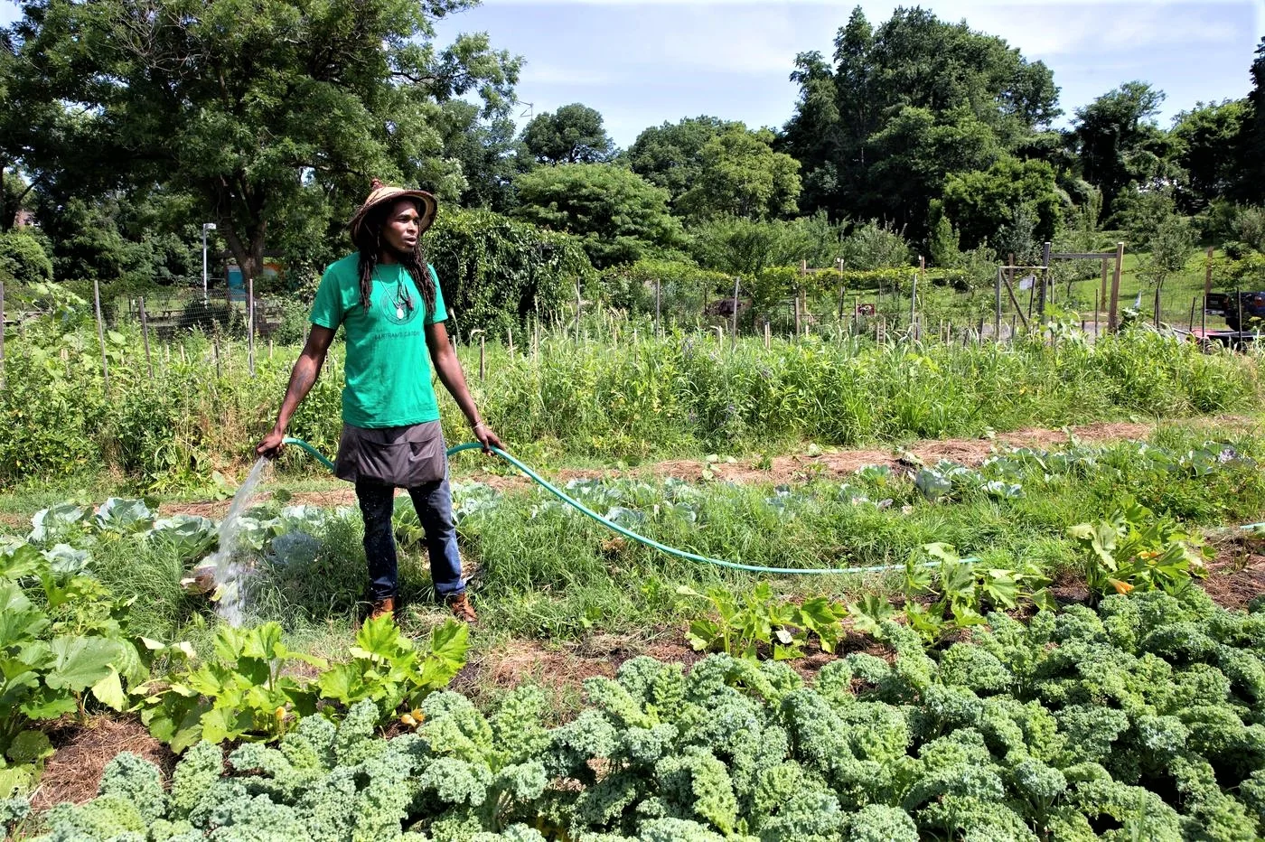 Philly’s urban farming plan could include hundreds, possibly thousands, of vacant lots . March 20, 2019. JESSICA GRIFFIN / FILE PHOTOGRAPH Philly.com