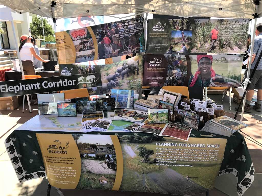 The ECOEXIST Project on Twitter. Here's our beautiful stand with info on solutions 2 human #elephant #coexistence, & “ElephantEconomy” products from #Okavango #Botswana #wildlife ...