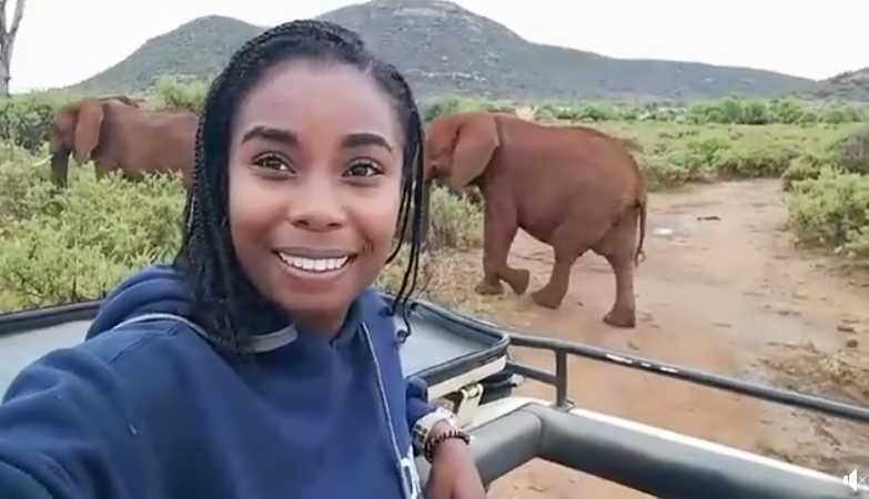 Dominique Gonçalves Protecting Mozambique's elephants.png