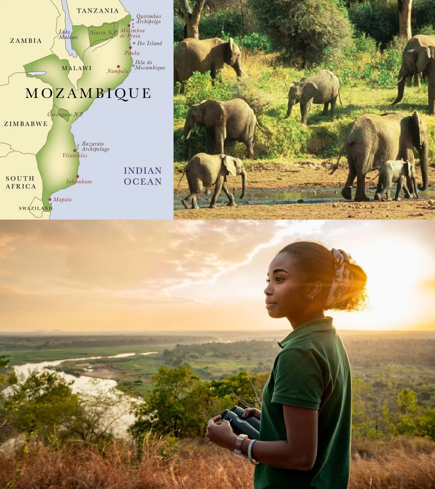 -collage-mozambique-elephant-conservation.jpg