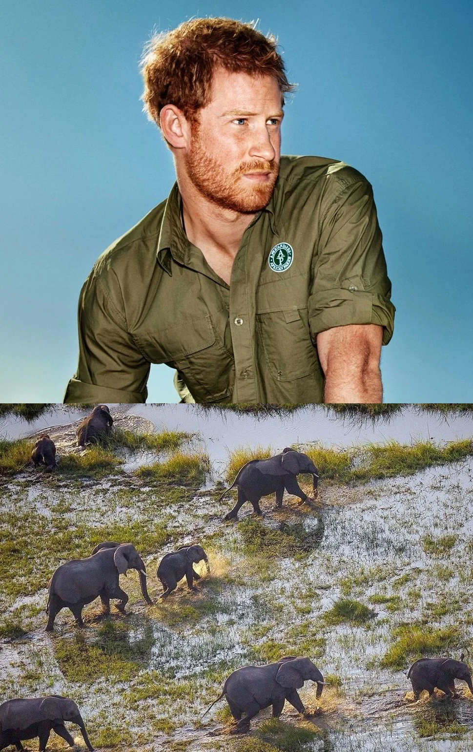 Prince+Harry+by+Alexi+Hay+for+Town+&+Country+Okavango+Documentary.jpg