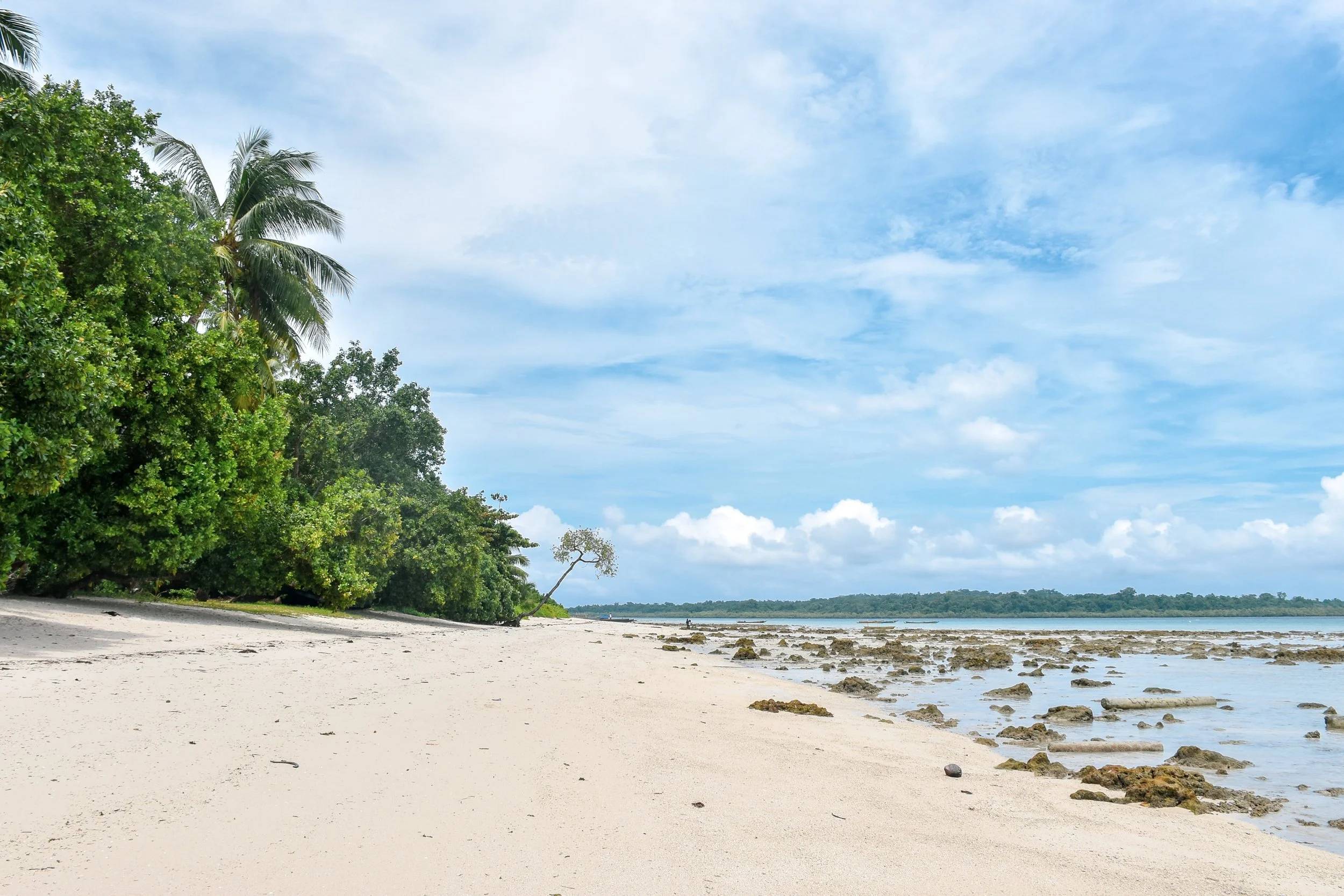 Andaman and Nicobar Islands, India .. Photo by Himanshu Jariyal on Unsplash