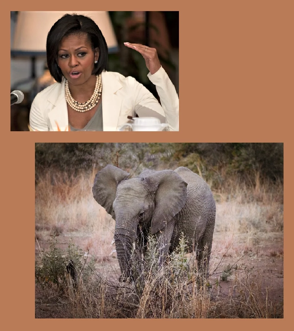 Michelle Obama-Woolly-Mammoth-Jewelry-collage.jpg