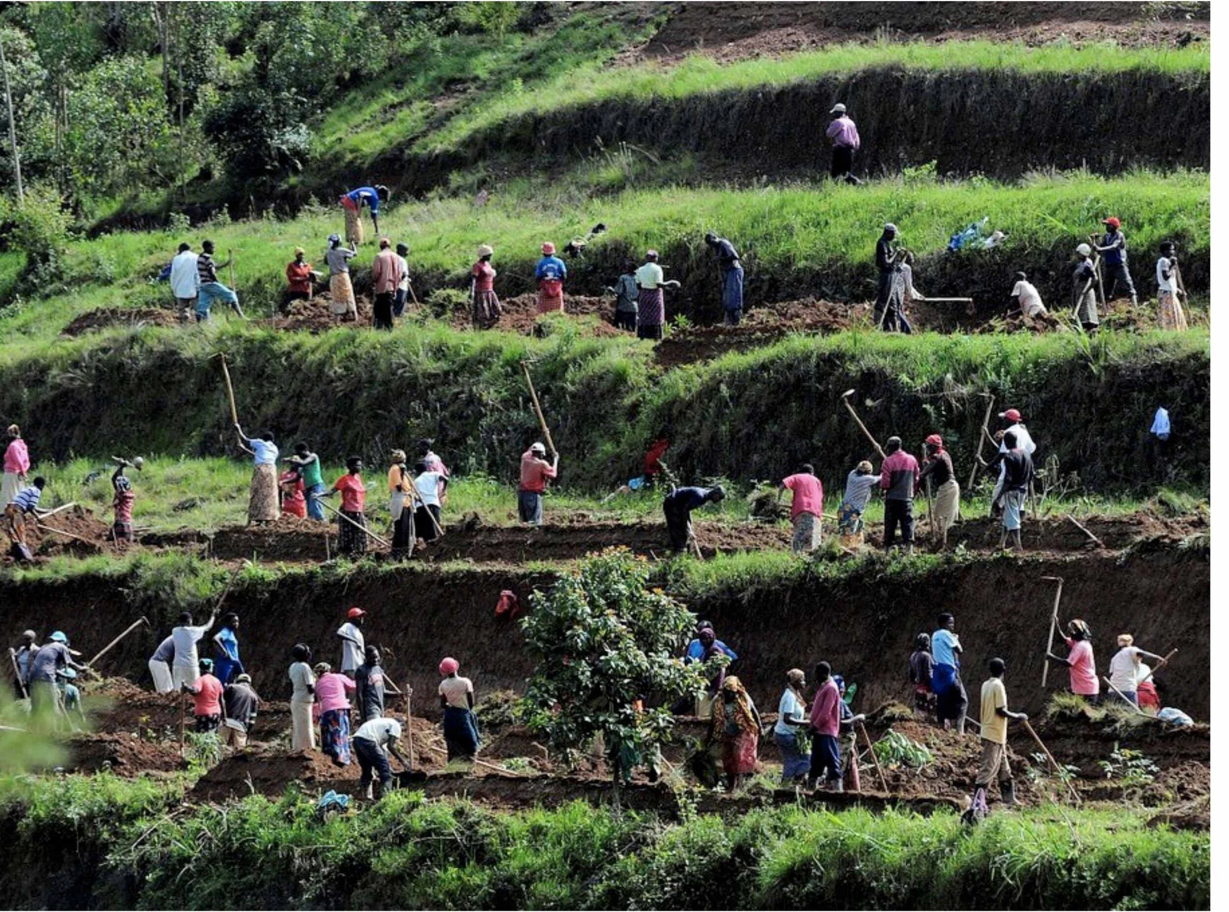 People terracing sloping land to control soil erosion. Photo courtesy of CCAFS.