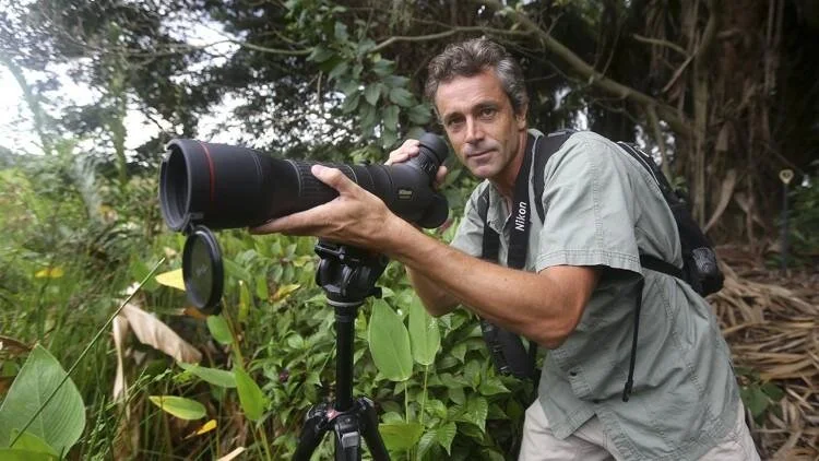 James Currie argues that elephants evolving without tusks leaves then handicapped.