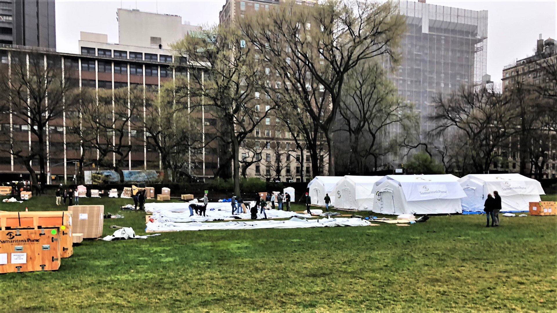 Mt. Sinai field hoospital being built in Central Park.jpg