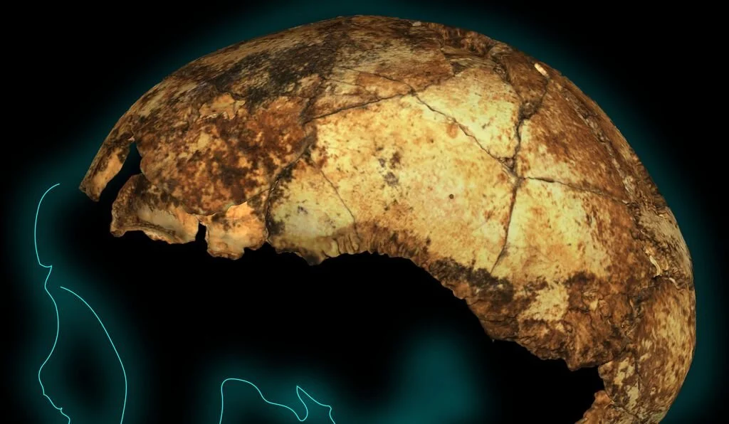 Scientists Find Three Early Humans Coexisting in South Africa — Anne of ...