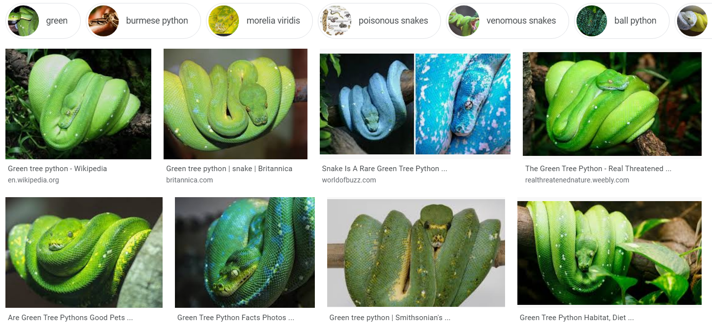 Beautiful snakes 81420.png