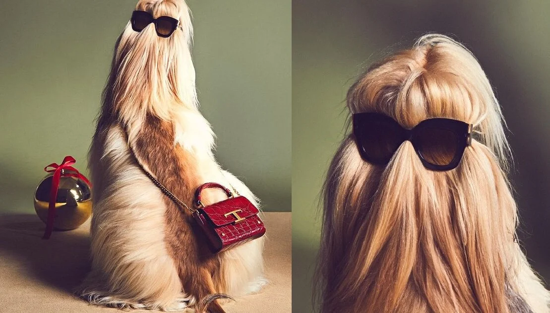 Tod's 'A Pawfect Holiday' Campaign (11).jpg