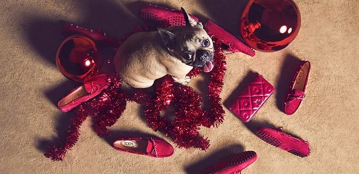 Tod's 'A Pawfect Holiday' Campaign (6).jpg