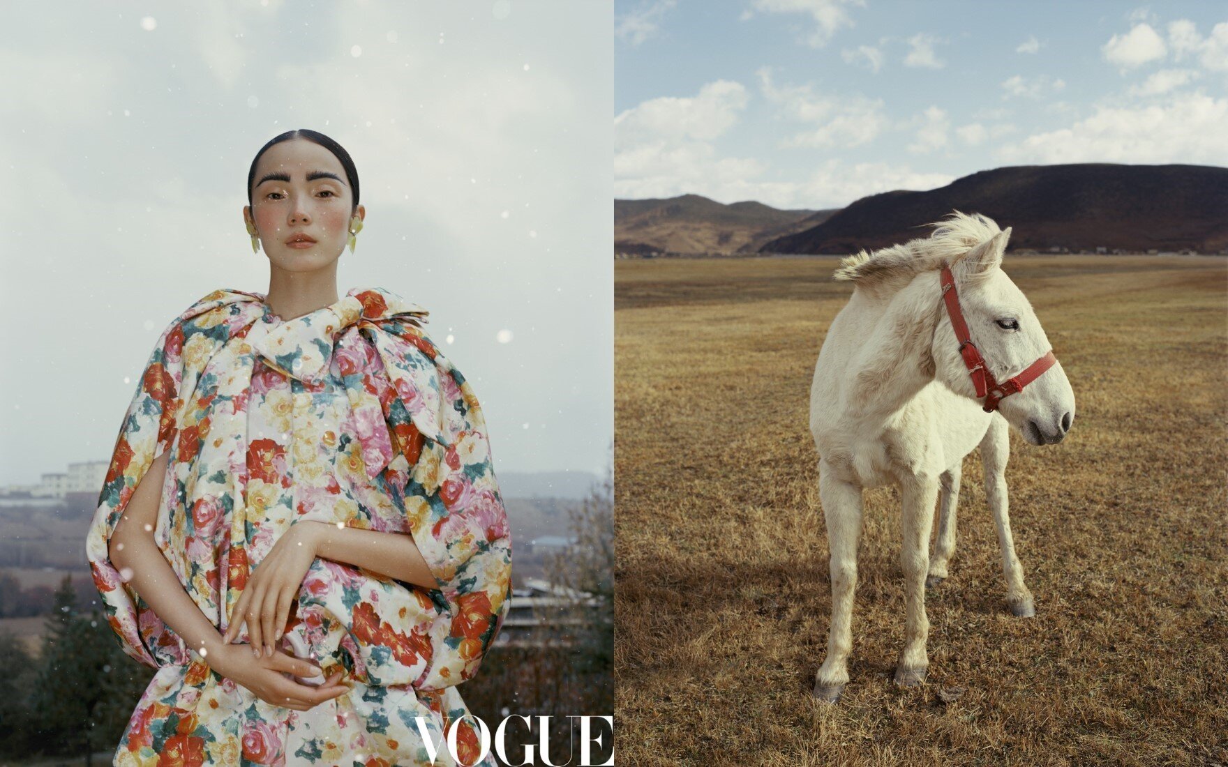 Xiao Wen Ju by Leslie Zhang Vogue China Jan 2021 (23).jpg