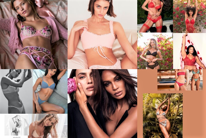 Victoria's Secret models Imaan Hammam and Bella Hadid wow in sexy lingerie
