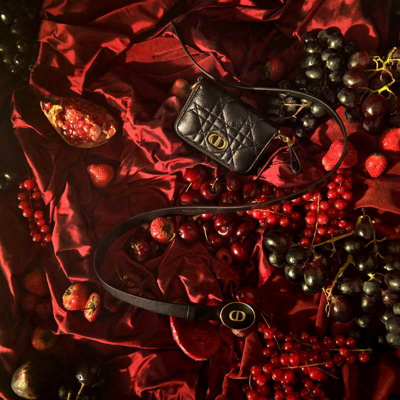 Dior Intoxicates Our Senses in 2021 Accessories Campaign — Anne of ...