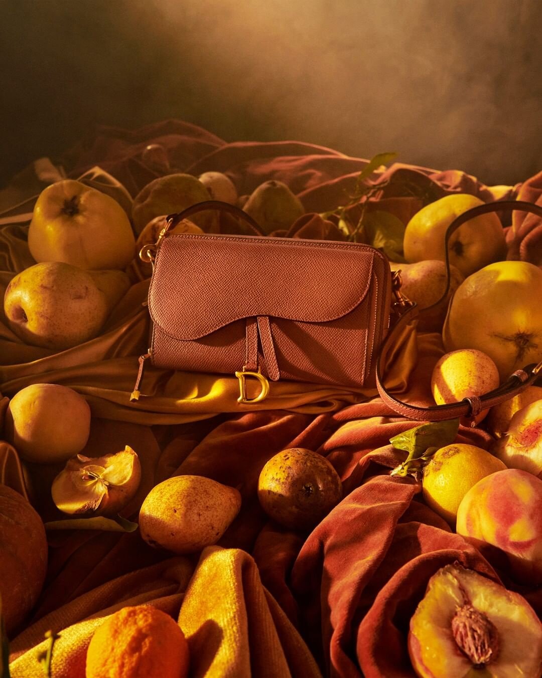 Dior Intoxicates Our Senses in 2021 Accessories Campaign — Anne of ...