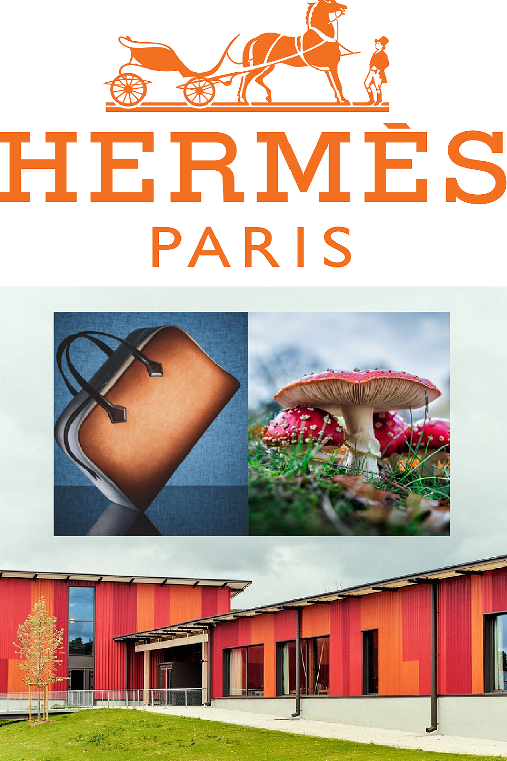 Hermès New Artisan Workshop Perhaps for MycoWorks Collab? — Anne