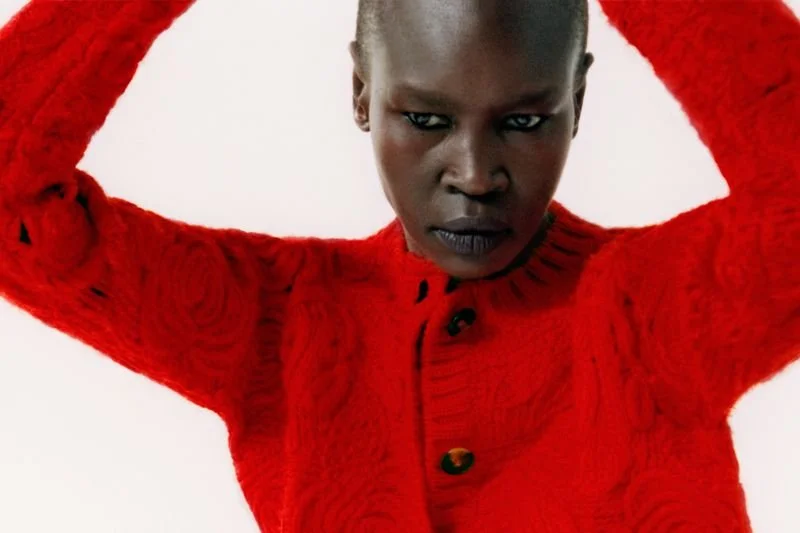 Alek-Wek-by-Hart-Leshkina-SSAW-Magazine-November-2021 (16).jpg