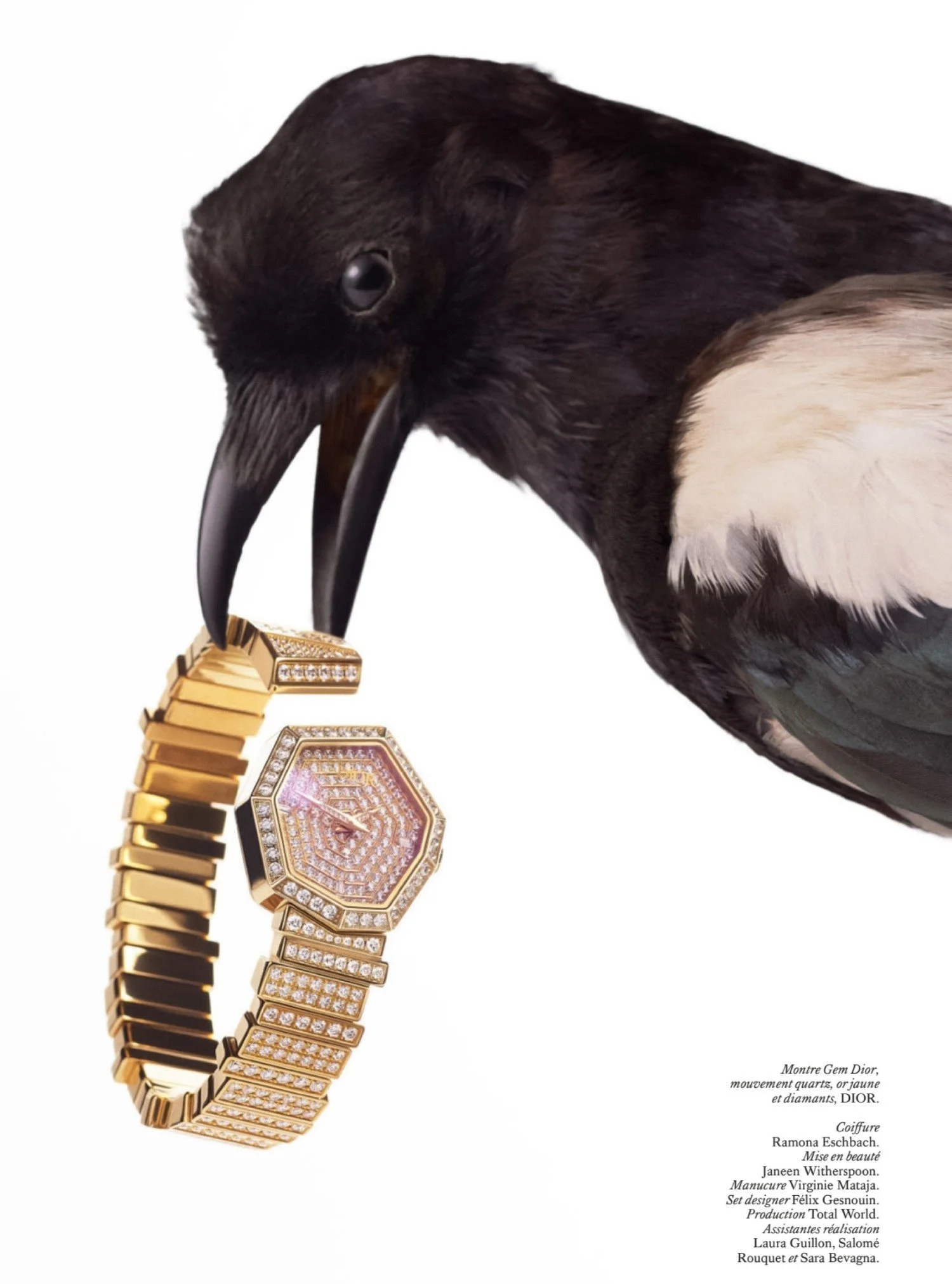  Dior luxury watch lensed by Philippe Jarrigeon for Vogue France. 