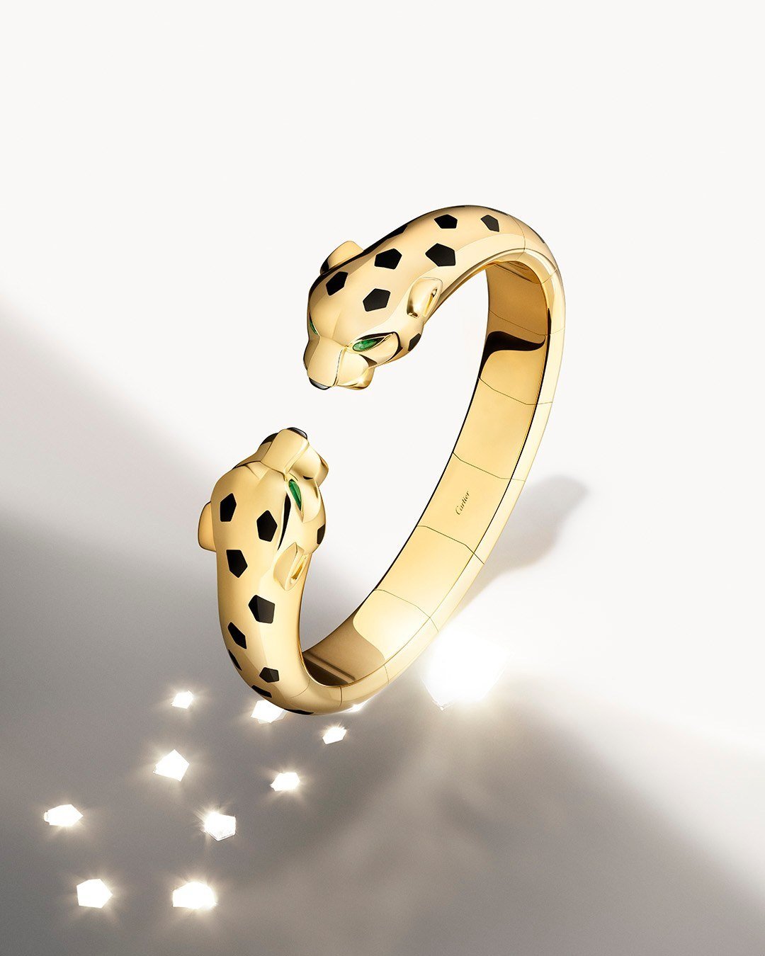 Panthere-de-Cartier-2022-Jewelry-Campaign-Jisoo-and-Ella Ballinska (5).jpg