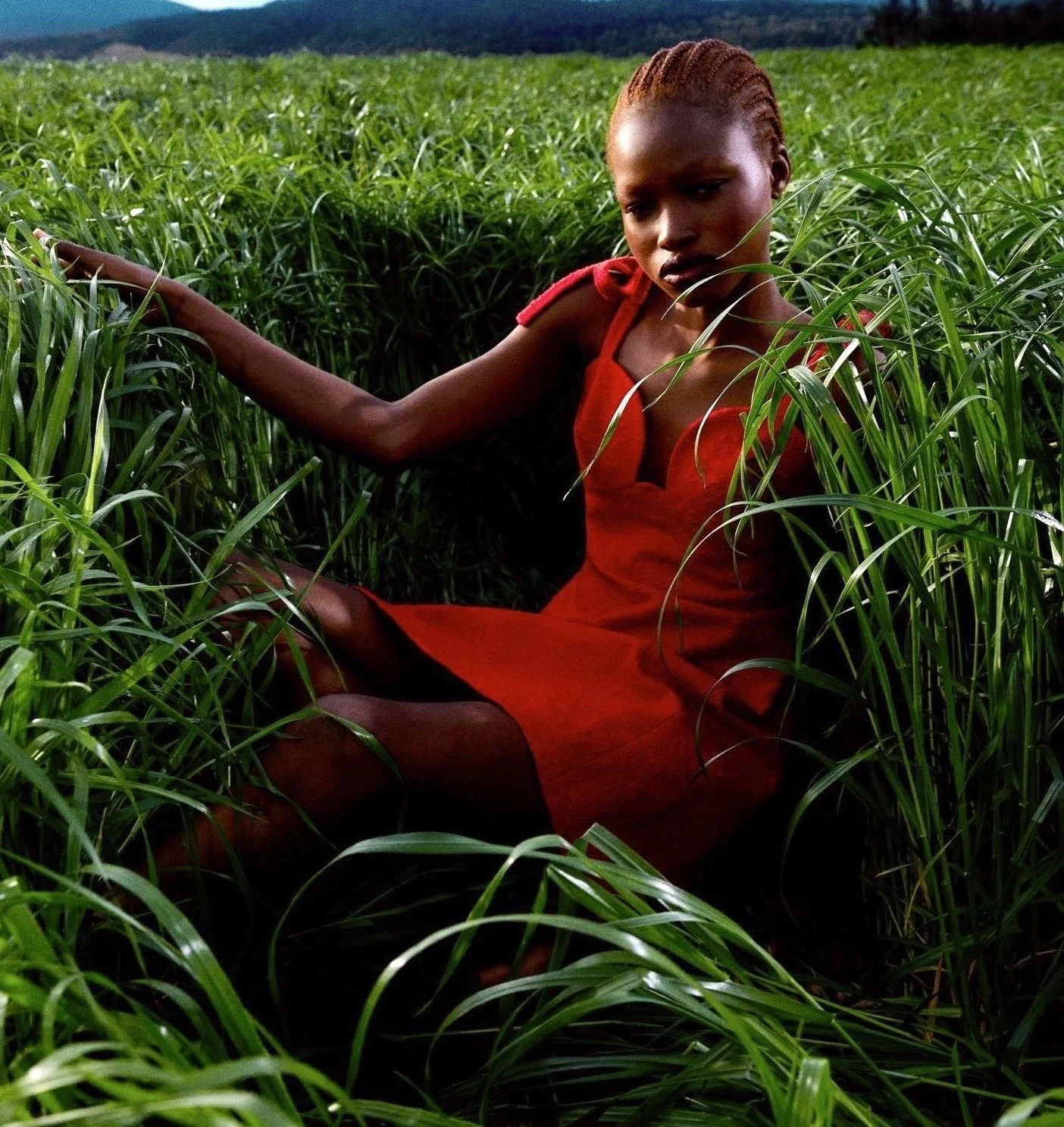 Kadiri-Joan-Carolina-Herrera-Late-Summer-202200018.jpg