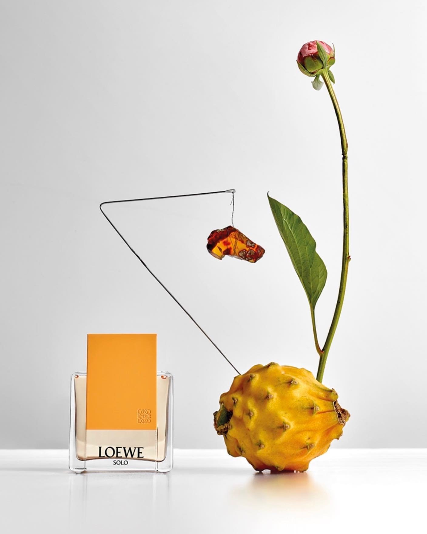 LOEWE Perfumes Opens First US Store at Bergdorf Goodman NYC — Anne of  Carversville
