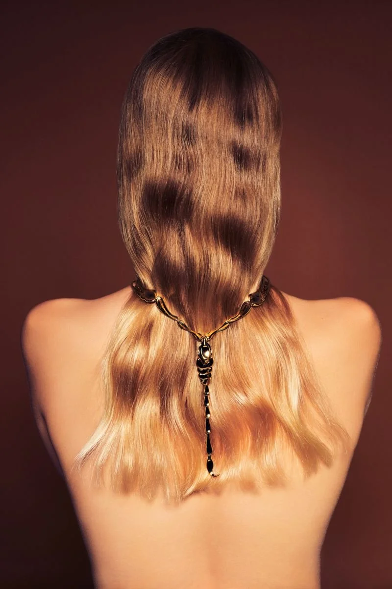 Nancy-Schneider-by-Fernando-Gomez-Grazia-Jewelry-00004.jpeg