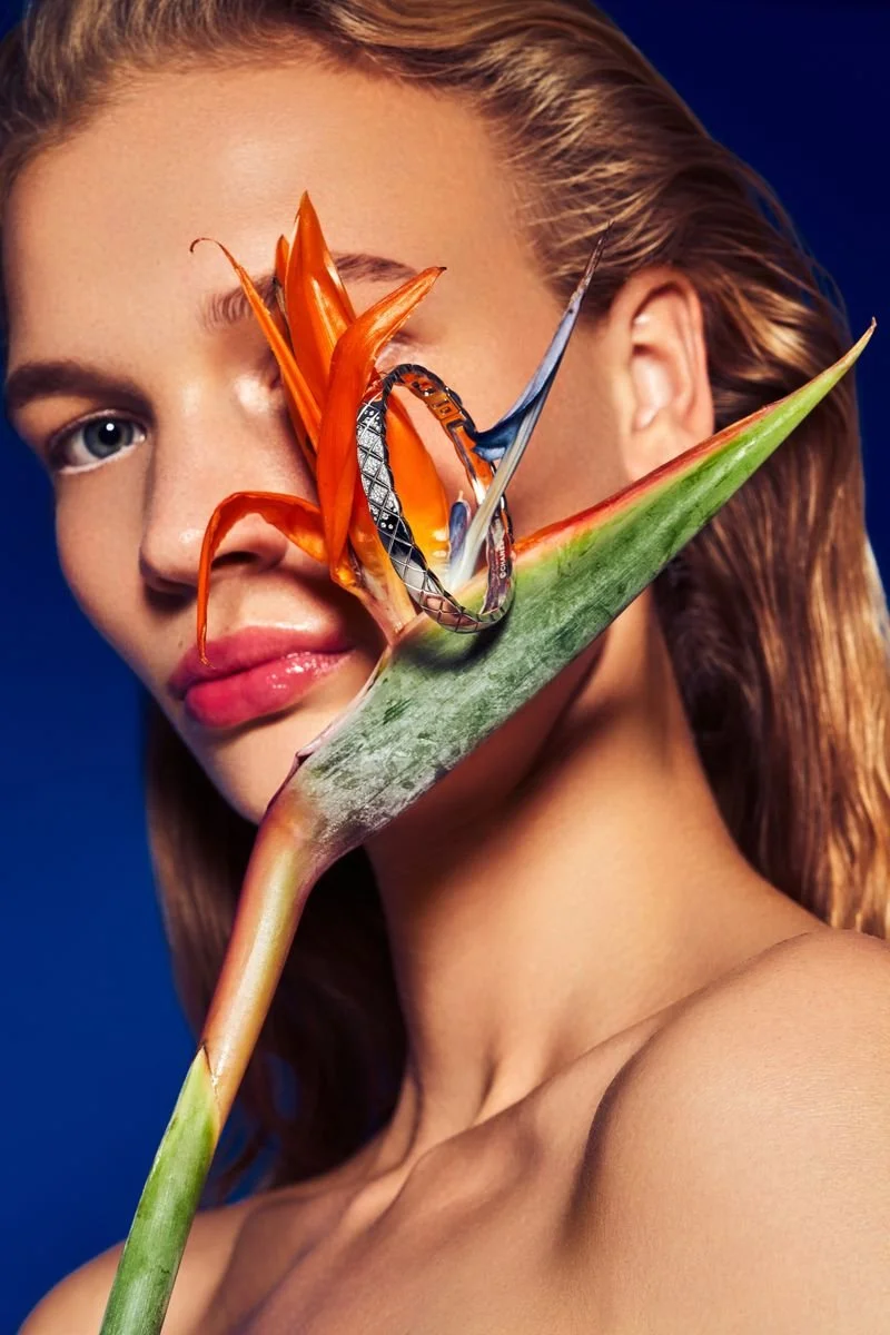 Nancy-Schneider-by-Fernando-Gomez-Grazia-Jewelry-00006.jpeg