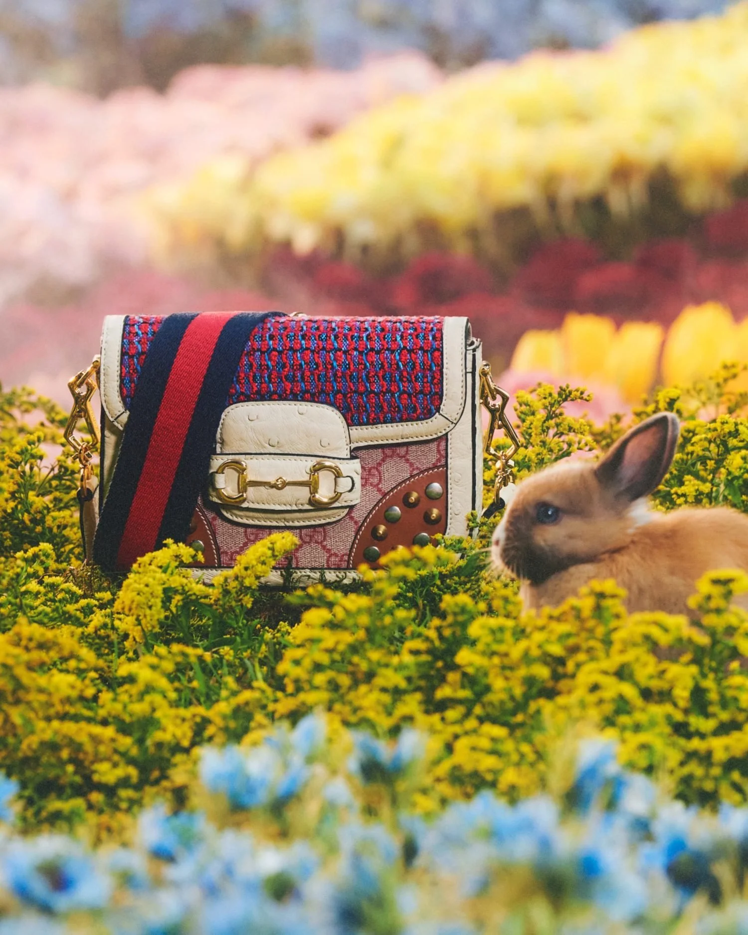 3-Gucci-Year-of-the-Rabbit-2023-Campaign-00007.jpg