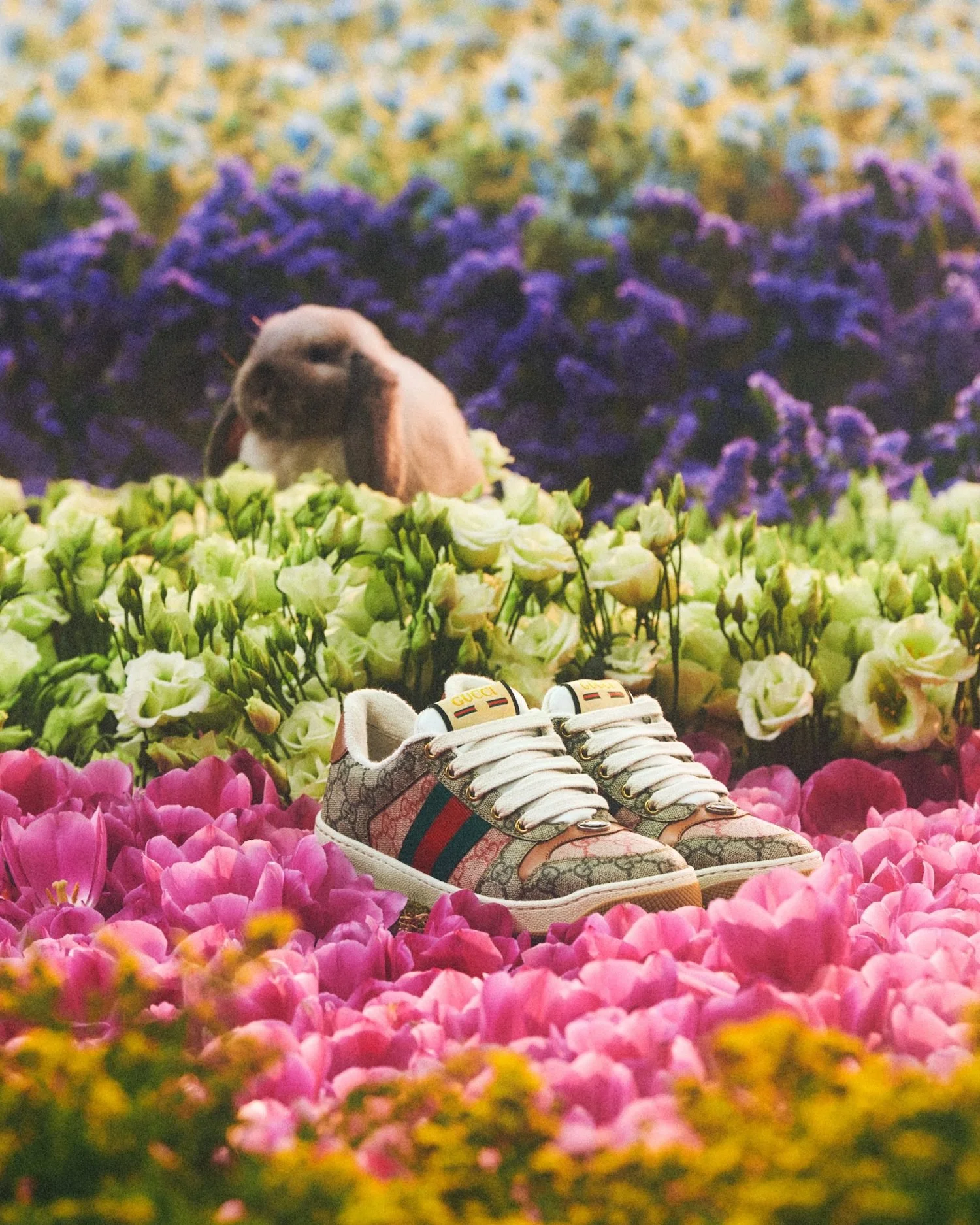 3-Gucci-Year-of-the-Rabbit-2023-Campaign-00004.jpg