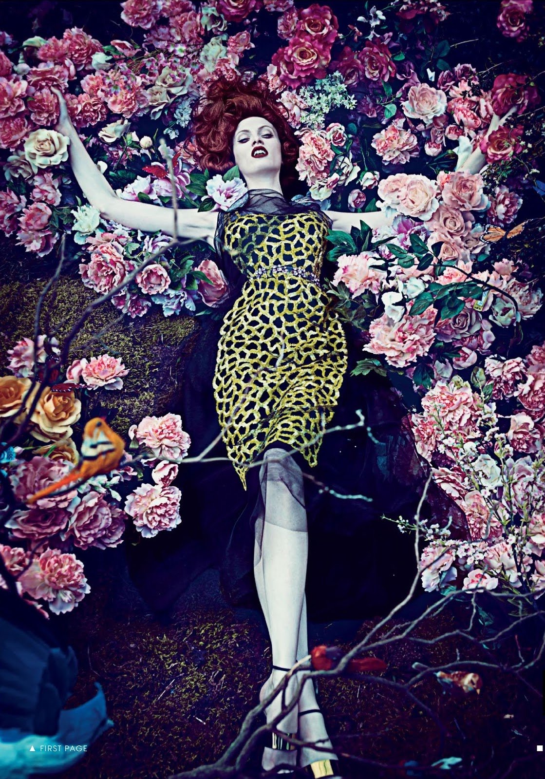 Hothouse-Flowers-by-Steven-Klein-Vogue-US-2012-00011.jpg