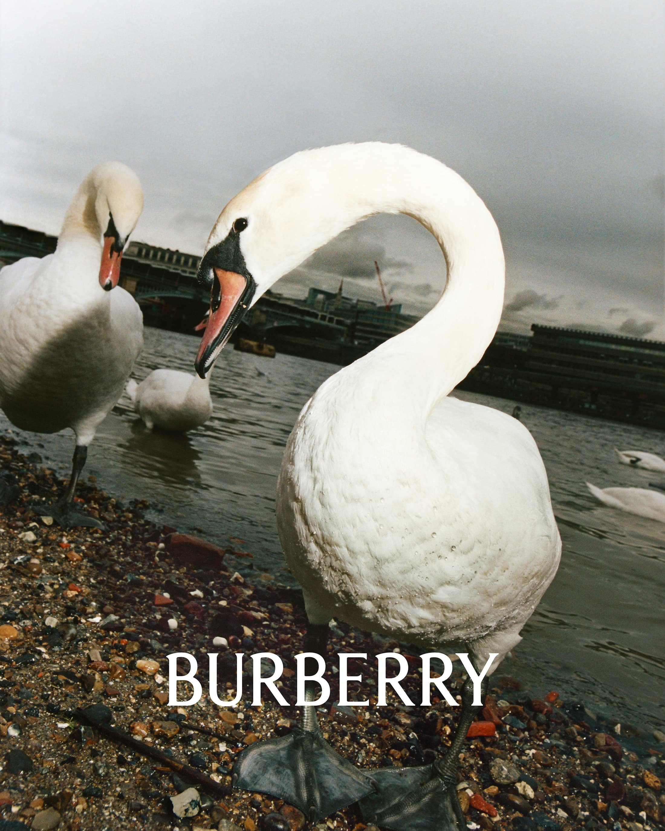 Burberry-Sp-2023-Campaign-00005.jpg