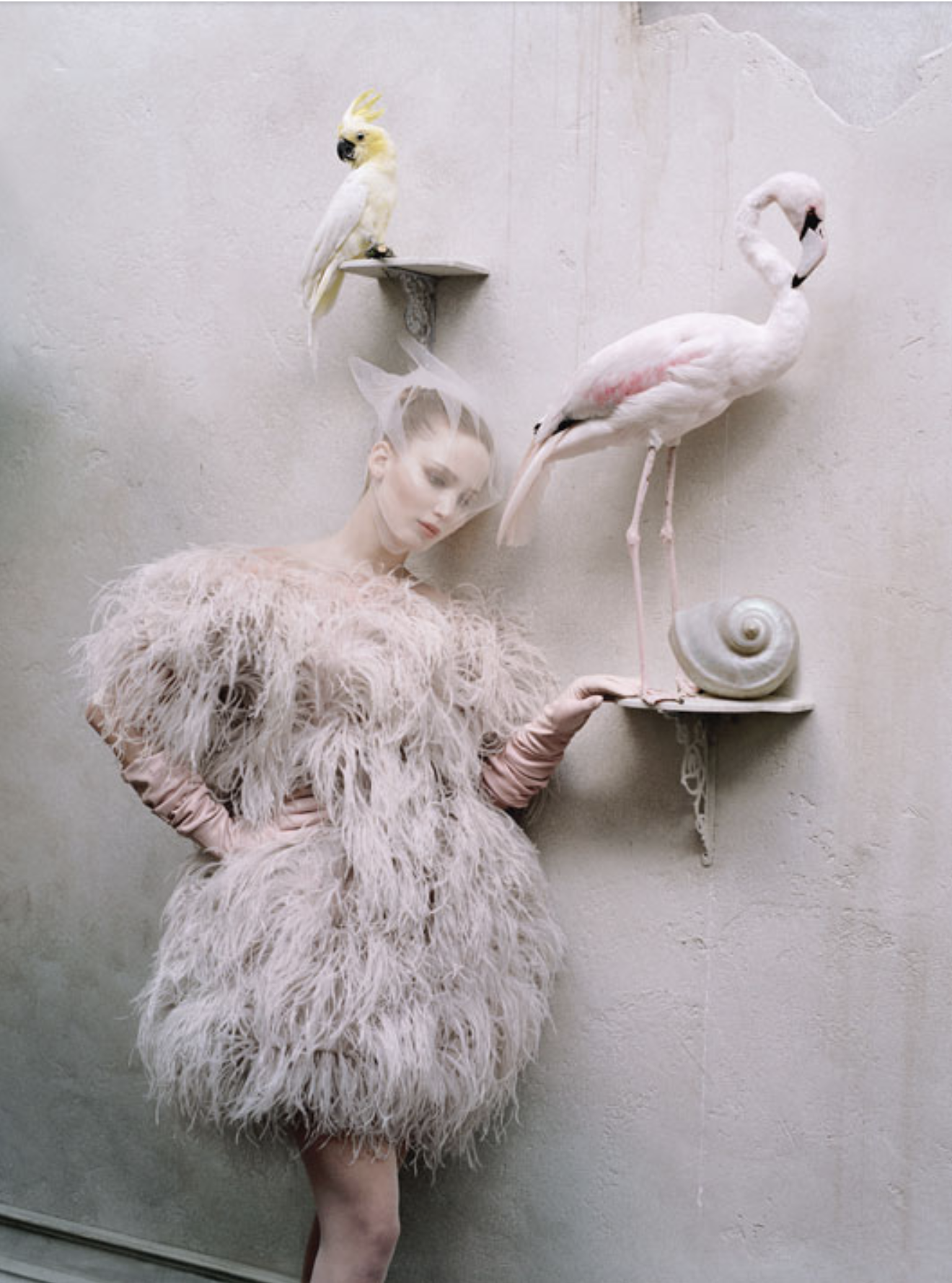 Jennifer-Lawrence-by-Tim-Walker-W-Magazine-00003.png