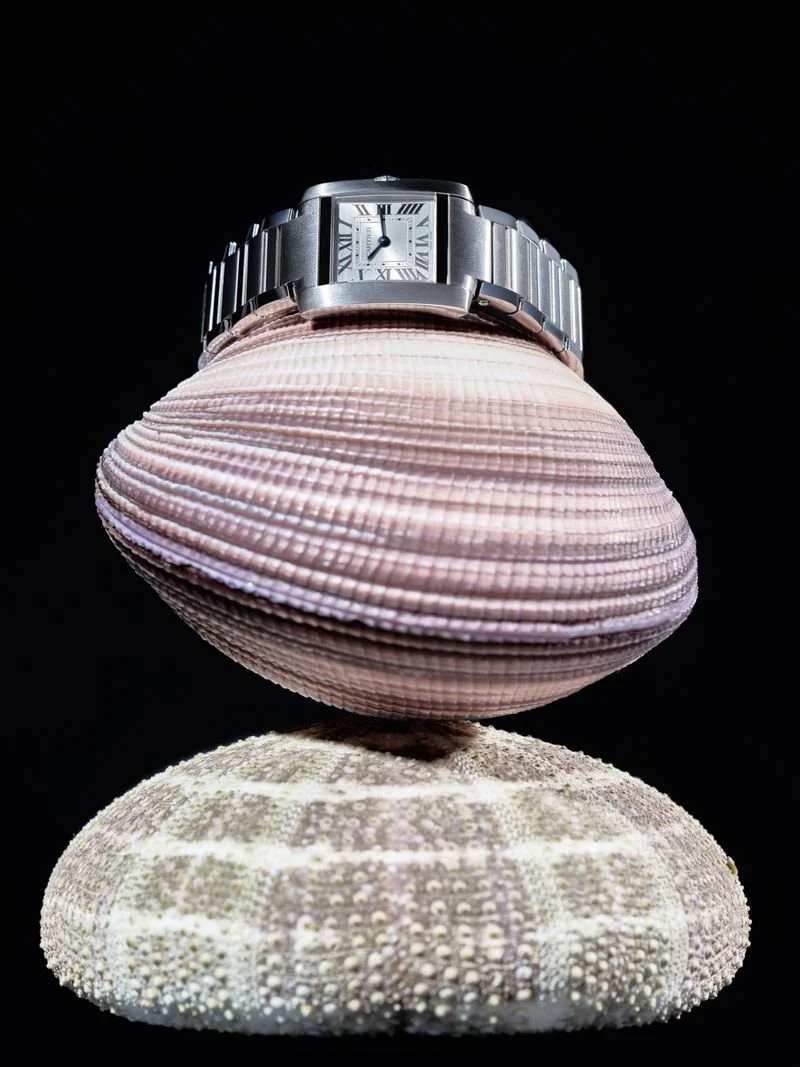 Cartier-by-Fernando-Gomez-Harpers-Bazaar-Arabia-00010.jpg