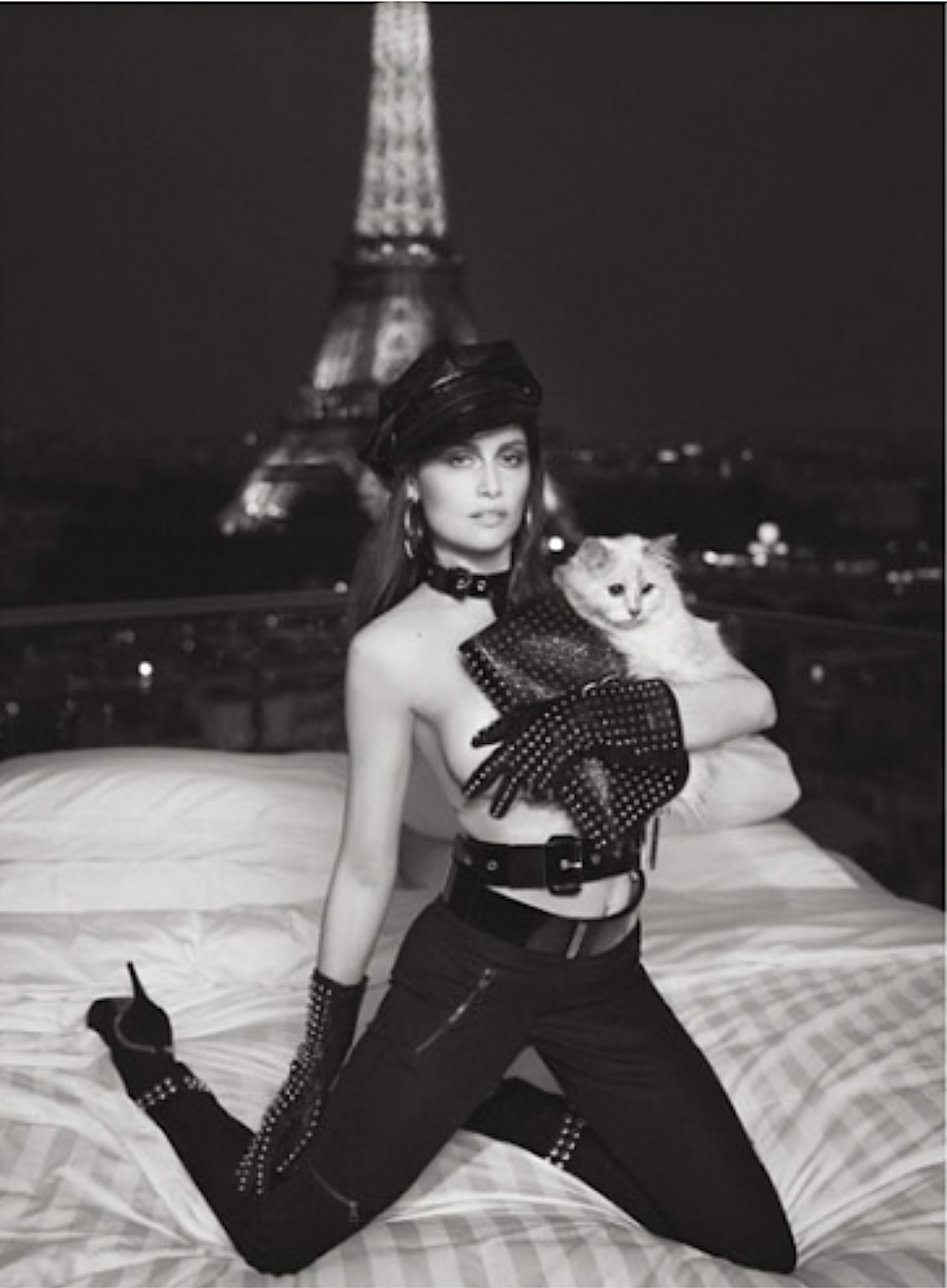 Laetitia-Casta-Choupette-Lagerfeld-V-Magazine-00009.png