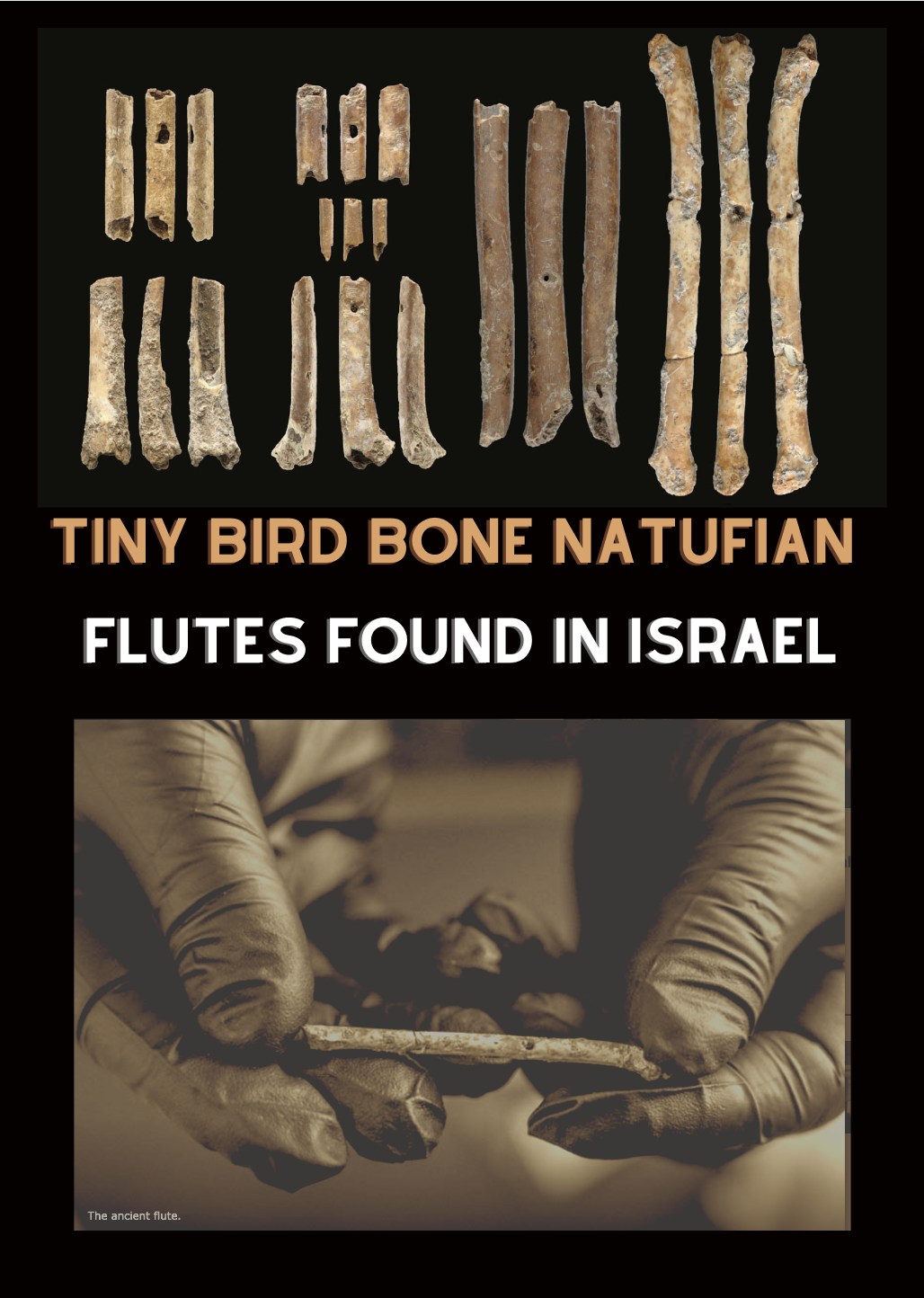 Tiny Bird Bone Flutes from Prehistoric Natufian People Found in Israel