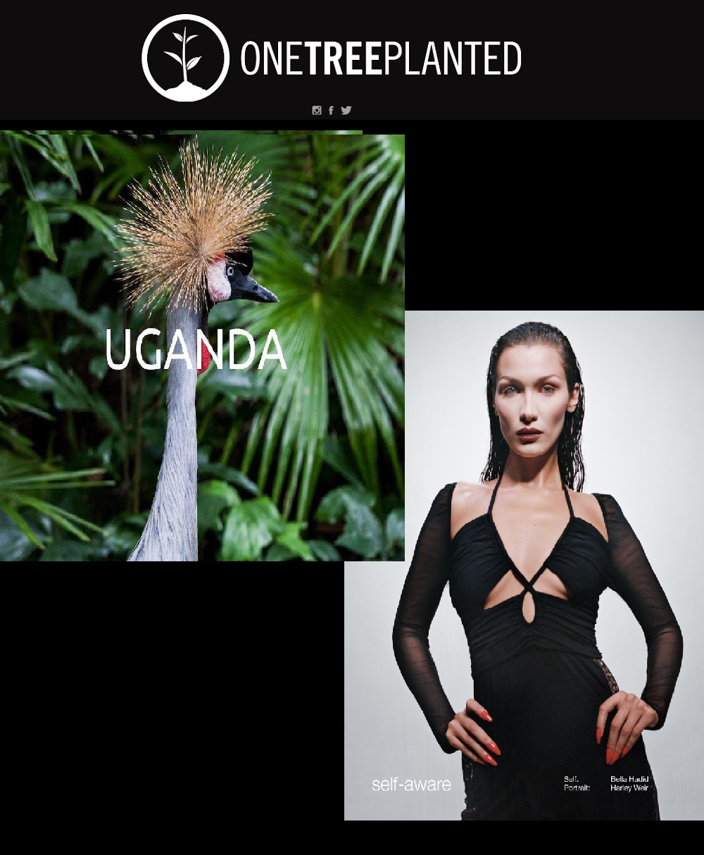 Spring 2022 Self-Portrait London Women Like Bella Hadid CARE About Our Earth