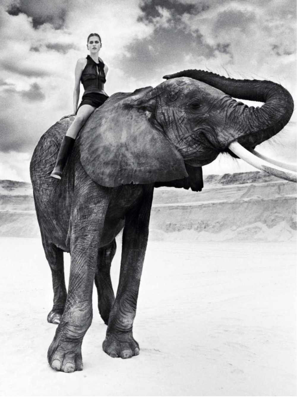 La-Reine-Des-Sables-Elephants-Koto-Bolofo-Numero-1662.png