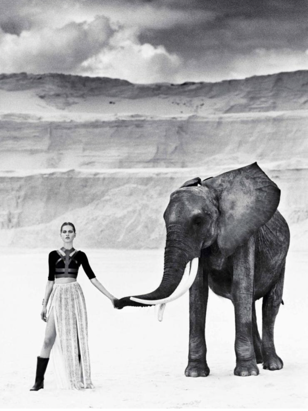 La-Reine-Des-Sables-Elephants-Koto-Bolofo-Numero-16613.png